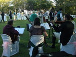 Picnic at Pemberley